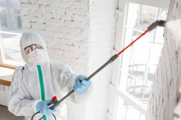 Best Airborne Mold Testing  in Watertown Town, MA