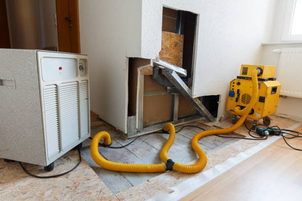 Watertown Town, MA Mold Removal Pros